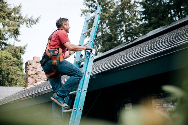 Best Skylight Installation and Repair  in Brooklyn, OH